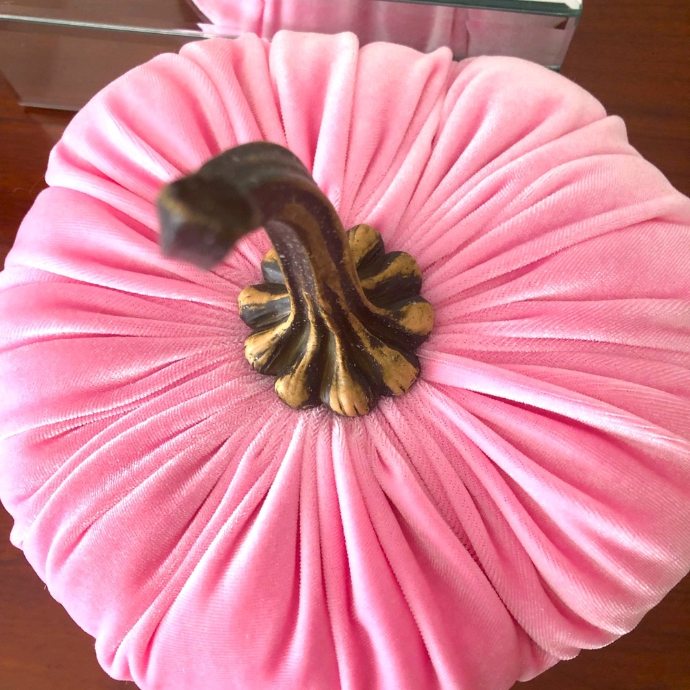 Pumpkin, large pink velvet pumpkin. Beautiful. Will add grace to your home decor - Picture 1 of 5